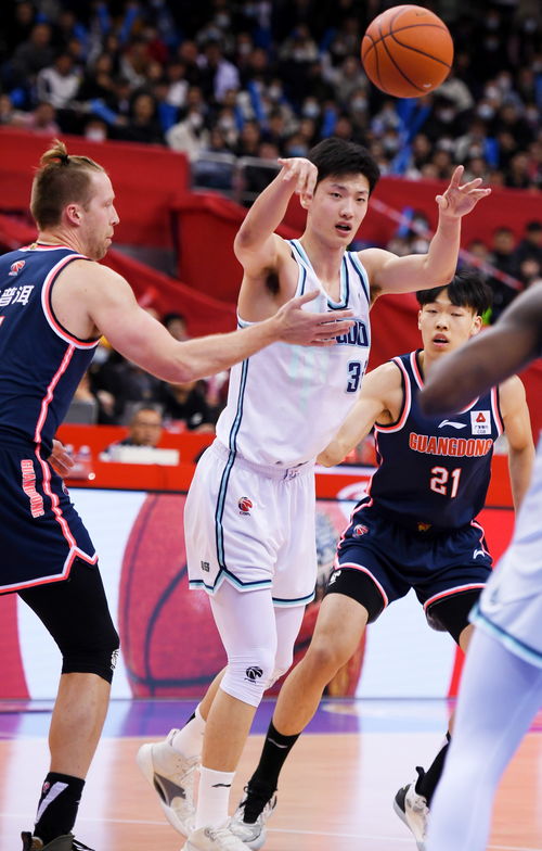 體育 籃球 cba常規賽 青島國信水產對陣廣東東莞大益 2
