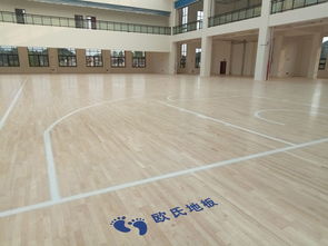 籃球場(chǎng)運(yùn)動(dòng)木地板